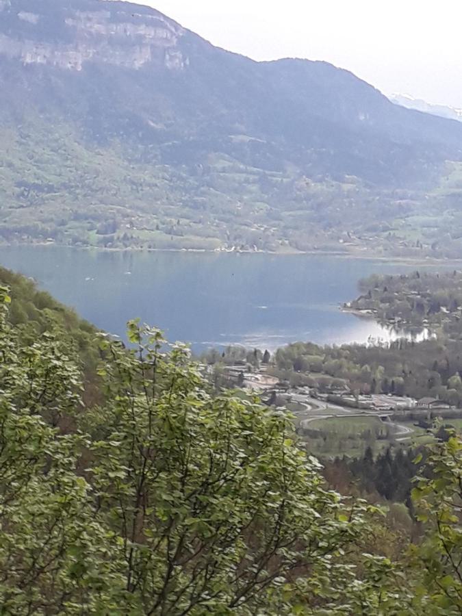 Les Tilleuls Saint-Jean-d'Avelanne Экстерьер фото